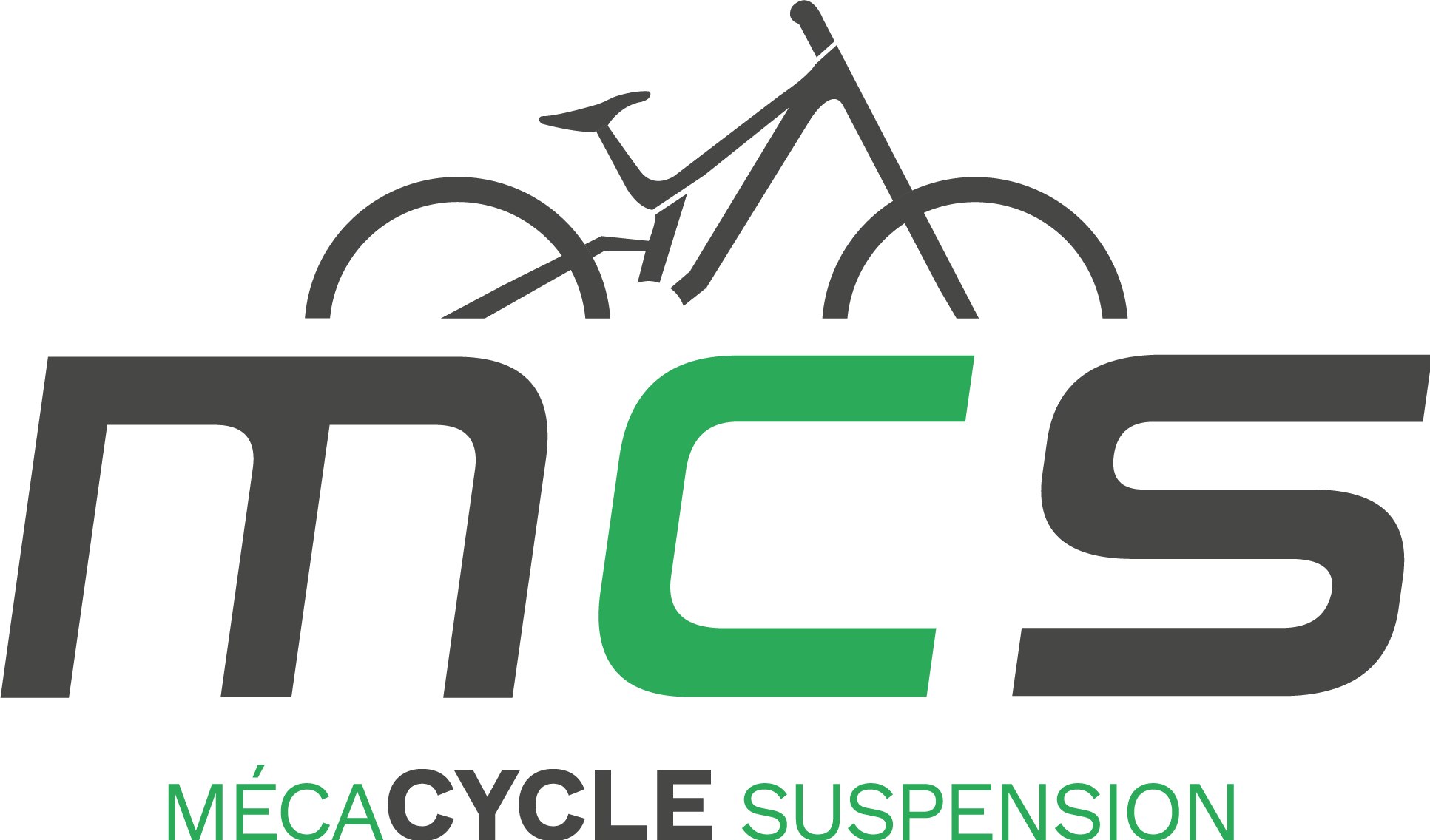 MCS Mecacycle suspension